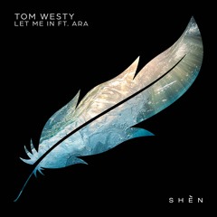 Premiere: Tom Westy - Let Me In ft. ARA