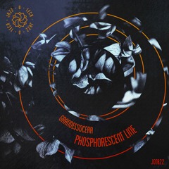 PREMIERE : GrandessoCera - Results Of Psychotropics (Jazz-O-Tech)