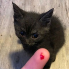 i dont feel alive im thinking i might be dead (prod. wingsxrra)