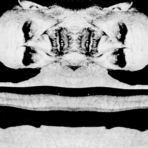 sur:rial - DARK AYATOLLAH [145bpm set]