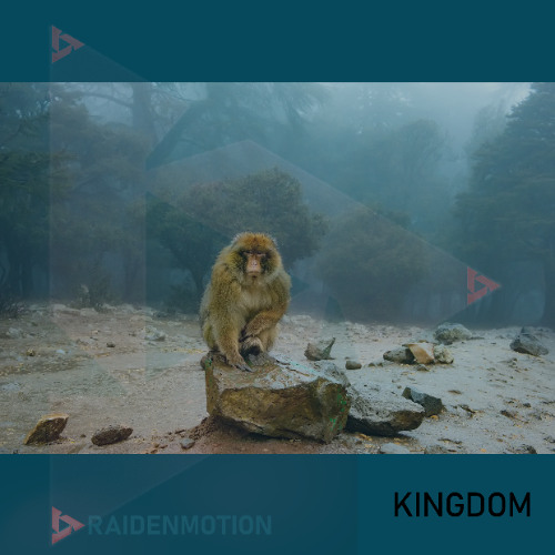 KINGDOM