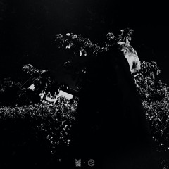 ORCHIDEEN & LILIEN (prod. CHROPE)