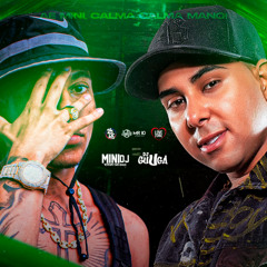DEDO DO MEIO PRA EX - DJ GUUGA e MC FEFE DA ZL ( MINI DJ e DJ ALAN DF )