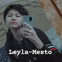 Leyla/Mesto (Slowed + Reverbed + Lyrical).mp3