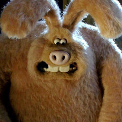 A Day in the Life (of Jeremy Rabbit)