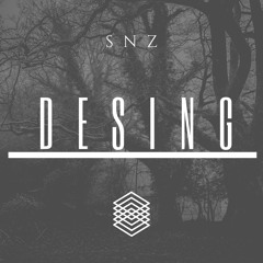 Desing (Original Mix)- SNZ