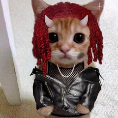 Playboi Carti - Magnolia Unreleased