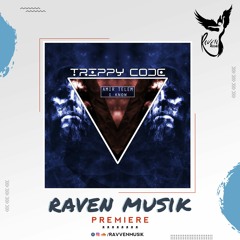 PREMIERE: Amir Telem - I Know (Original Mix) [Trippy Code]