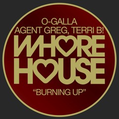 O - GALLA, Agent Greg & Terri B! - Burning Up (Agent Greg Dub Mix)