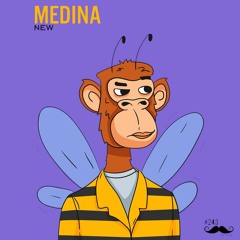 Medina - New (Original Mix)