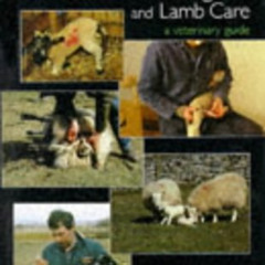 [Download] EBOOK 🖌️ Practical Lambing and Lamb Care by  Andrew Eales &  null l [PDF