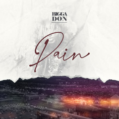 Bigga Don - Pain