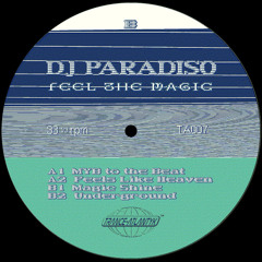 DJ Paradiso - Feels like Heaven