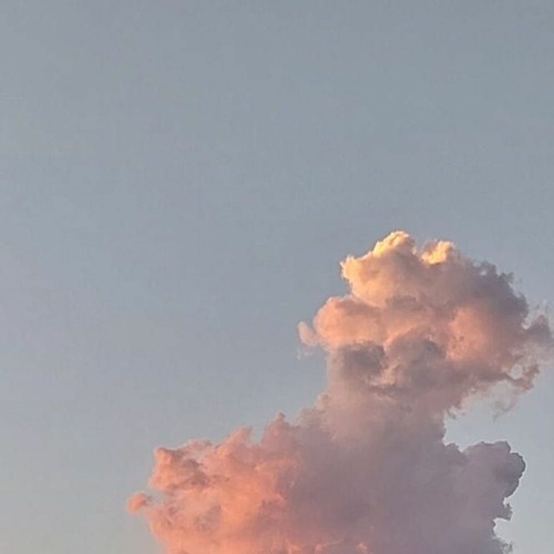 (superfície) - com granadeiro guimarães