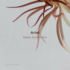 AF Premiere: Ariet - Deep Questions [Lotus Parable][OUT!!23.08.23]