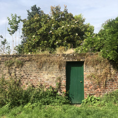 Fun is what you wanted.