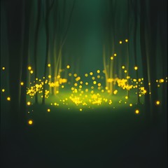 COUNTRY HIT - LE LUCCIOLE CANTANO - CANZONI DEL BOSCO - RELEASE - Shaula