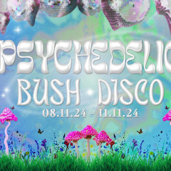 Timmy Beers @ Psychedlic Bush Disco Vol 2 - 9/11/24