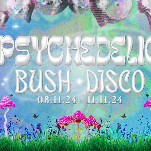 Timmy Beers @ Psychedlic Bush Disco Vol 2 - 9/11/24