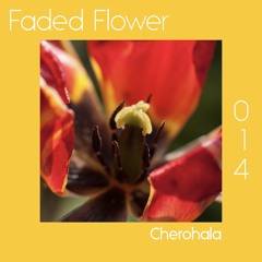 Faded Flower Mix | 014