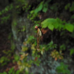 イエカライエ (Prod.Mos Boy)