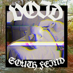FELL INTO THE VOID FT SOUTH FEIND