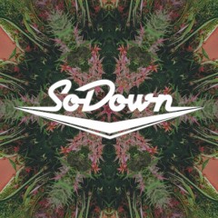 Sodown - Running Out (ft. Bailey Flores) (Fractal Rain Remix)