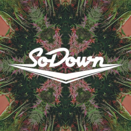 Sodown - Running Out (ft. Bailey Flores) (Fractal Rain Remix)