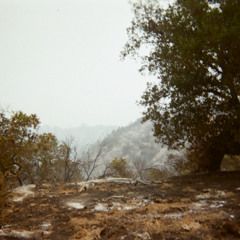 im your sickness (prod Filip Vaughn)