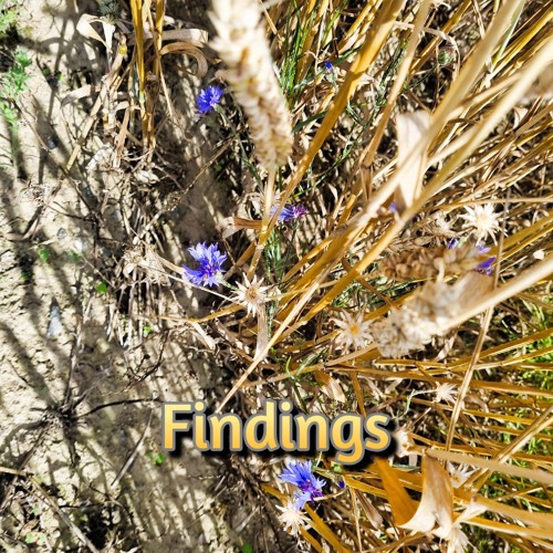 Findings