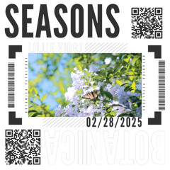 Lillie Virgo - Seasons