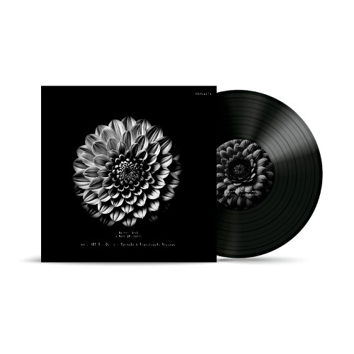 𝐏𝐑𝐄𝐌𝐈𝐄𝐑𝐄 | Martyn Päsch - 090423 (ABSIS Remix) [Virescence Records]