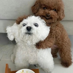 sticks! (prod. stzy)