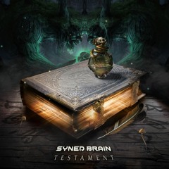 05. Syned Brain & Zopmanika -Distorted Reality