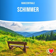 Schimmer, Pt. 10