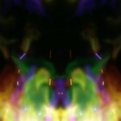 FLORID CONFABULATIONS vocal