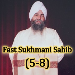 Sukhmani Sahib 5-8