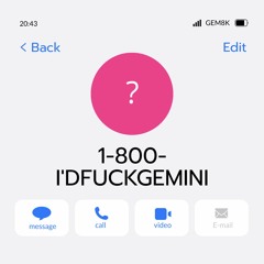 1-800-I'DFUCKGEMINI