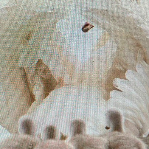 aeon06: intenção teleguiada w/ aka layer & e6c41