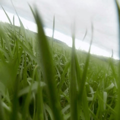 do it again w/ rellstar (jayysoul + tgwog)