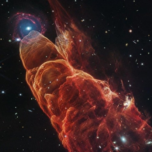 In The Tree Tops !!!🤗🤗🤗🤗🤗