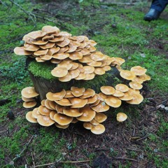 CZAS #ukrytedowiadomości