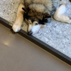 Big Balth - it follows