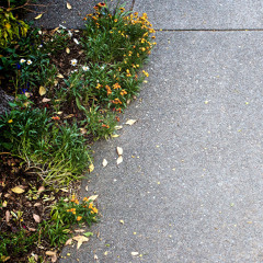 Some Fragile Waypoints [disquiet0695]