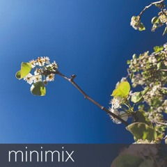Minimix 17-03-25