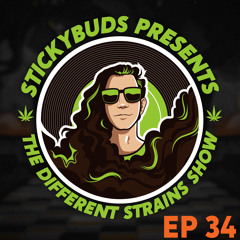 The Different Strains Show (EP34)- Westwood Radio Guest Mix