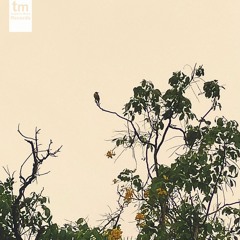 Pelicano, DJ Lagoa - Early Bird