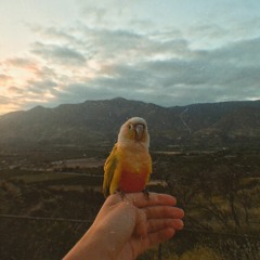 Worm Guts In Garbage Disposal