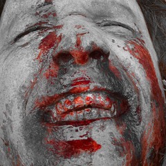 Surveillance Project 14