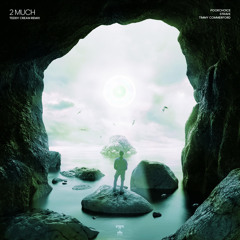 2 Much (Teddy Cream Remix) [feat. Timmy Commerford]